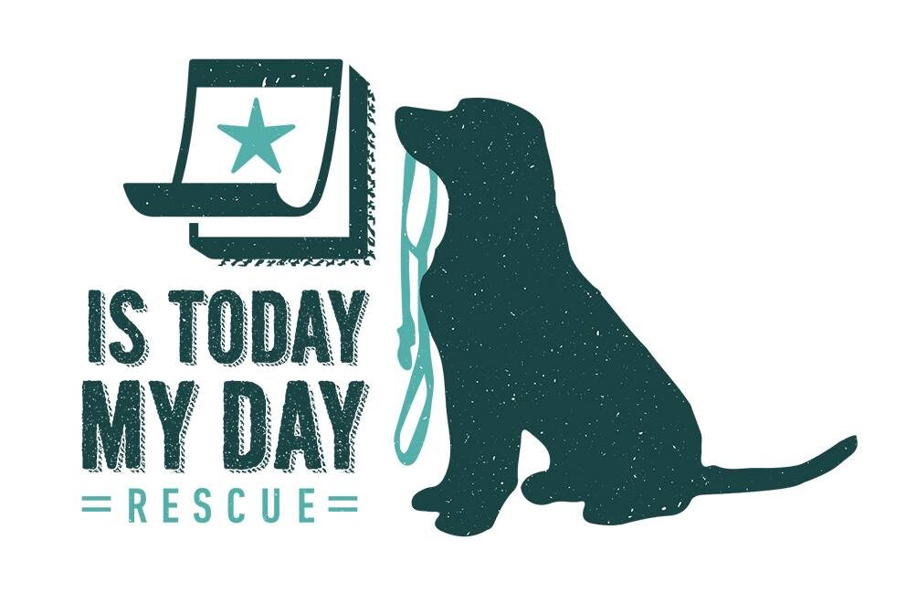 Is Today My Day Dog Rescue